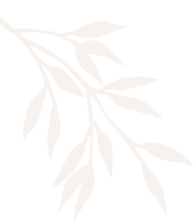 Beauty Salon & Spa - Miami Beach