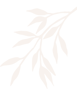 Beauty Salon & Spa - Miami Beach