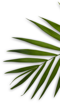 Beauty Salon & Spa - Miami Beach